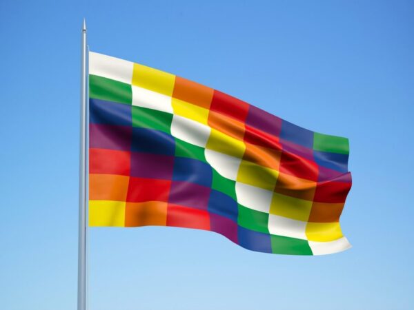 Bandera de Flameo Wiphala 90x90- Reglamentaria